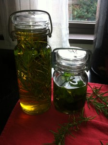 My basil and rosemary infusions--my July 4th bruschetta is going to be yummy.
